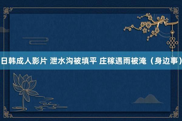 日韩成人影片 泄水沟被填平 庄稼遇雨被淹（身边事）