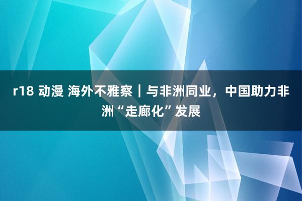 r18 动漫 海外不雅察｜与非洲同业，中国助力非洲“走廊化”发展