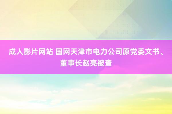 成人影片网站 国网天津市电力公司原党委文书、董事长赵亮被查