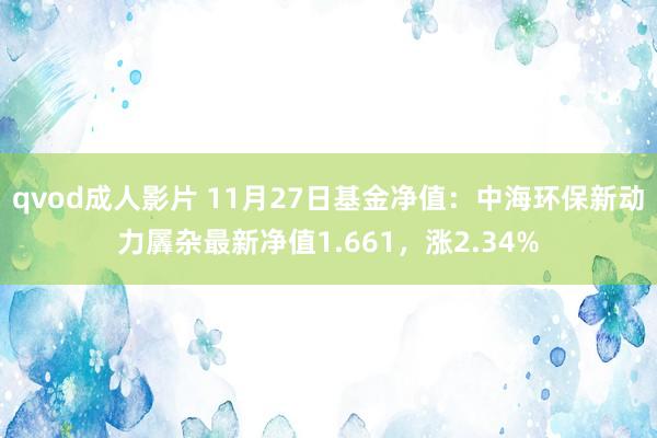 qvod成人影片 11月27日基金净值：中海环保新动力羼杂最新净值1.661，涨2.34%