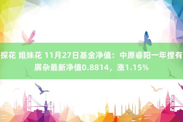 探花 姐妹花 11月27日基金净值：中原睿阳一年捏有羼杂最新净值0.8814，涨1.15%