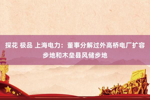 探花 极品 上海电力：董事分解过外高桥电厂扩容步地和木垒县风储步地
