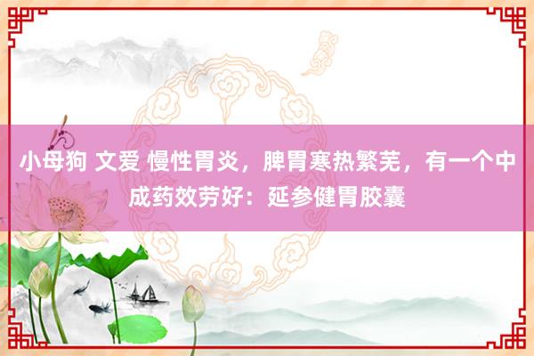 小母狗 文爱 慢性胃炎，脾胃寒热繁芜，有一个中成药效劳好：延参健胃胶囊