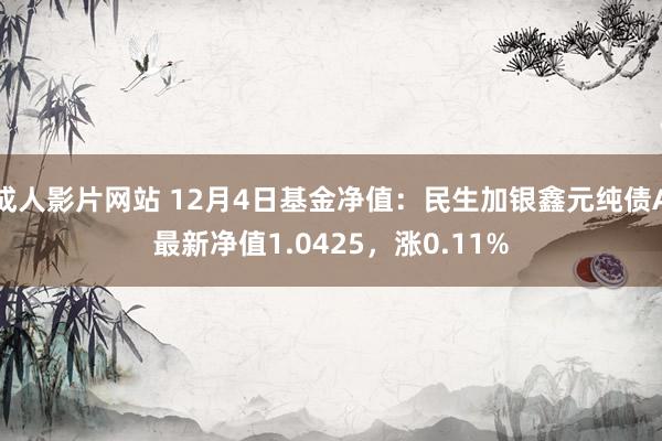 成人影片网站 12月4日基金净值：民生加银鑫元纯债A最新净值1.0425，涨0.11%