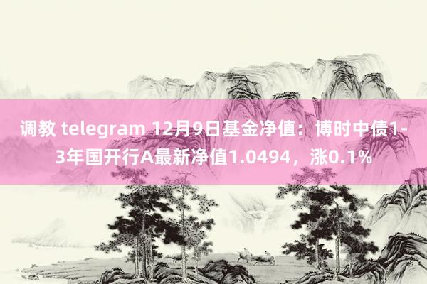 调教 telegram 12月9日基金净值：博时中债1-3年国开行A最新净值1.0494，涨0.1%
