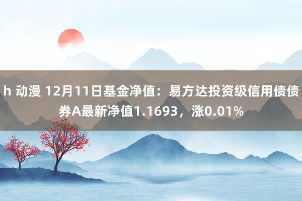 h 动漫 12月11日基金净值：易方达投资级信用债债券A最新净值1.1693，涨0.01%