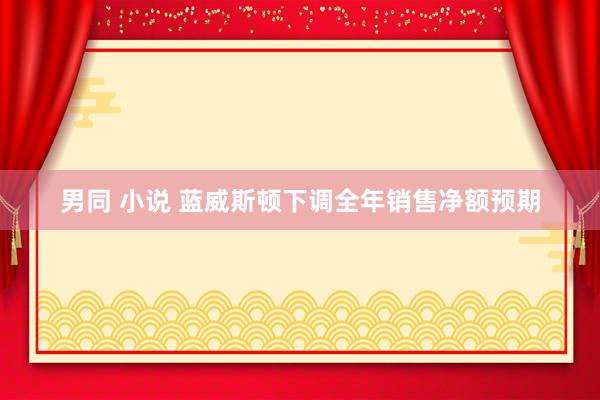 男同 小说 蓝威斯顿下调全年销售净额预期