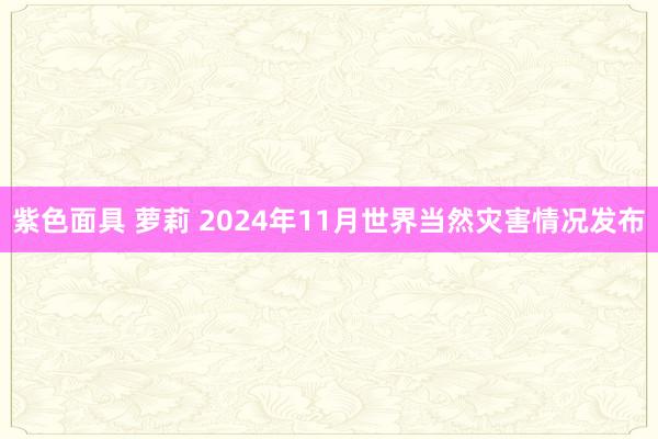 紫色面具 萝莉 2024年11月世界当然灾害情况发布