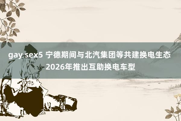 gay sex5 宁德期间与北汽集团等共建换电生态 2026年推出互助换电车型