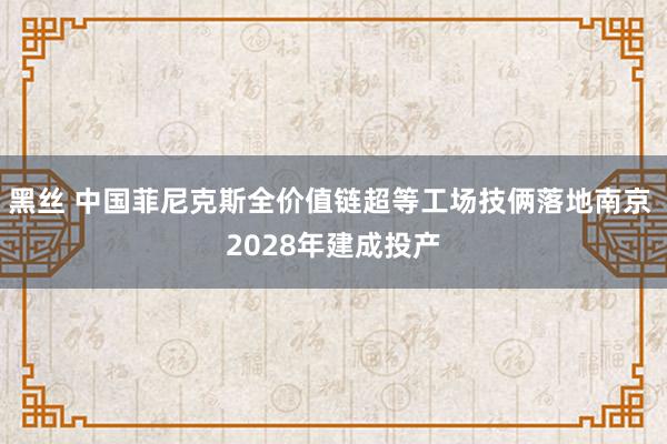 黑丝 中国菲尼克斯全价值链超等工场技俩落地南京 2028年建成投产