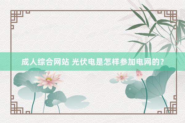 成人综合网站 光伏电是怎样参加电网的？