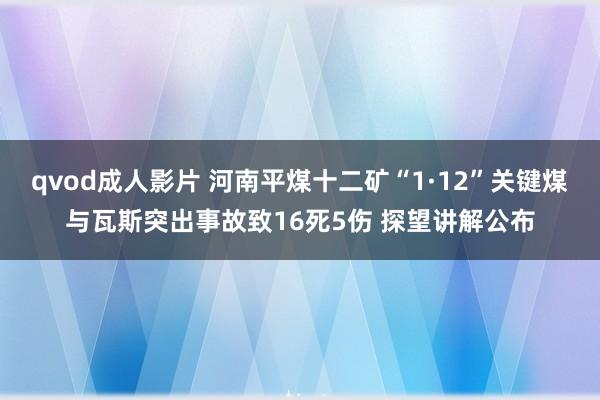 qvod成人影片 河南平煤十二矿“1·12”关键煤与瓦斯突出事故致16死5伤 探望讲解公布