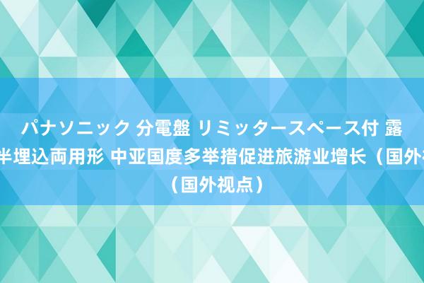 パナソニック 分電盤 リミッタースペース付 露出・半埋込両用形 中亚国度多举措促进旅游业增长（国外视点）