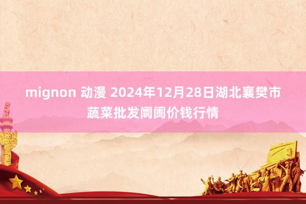 mignon 动漫 2024年12月28日湖北襄樊市蔬菜批发阛阓价钱行情