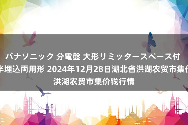 パナソニック 分電盤 大形リミッタースペース付 露出・半埋込両用形 2024年12月28日湖北省洪湖农贸市集价钱行情
