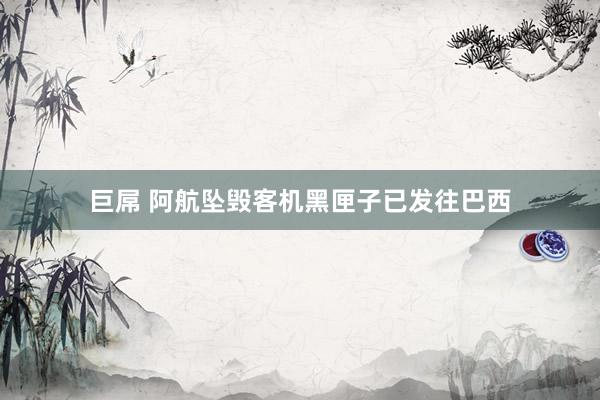 巨屌 阿航坠毁客机黑匣子已发往巴西